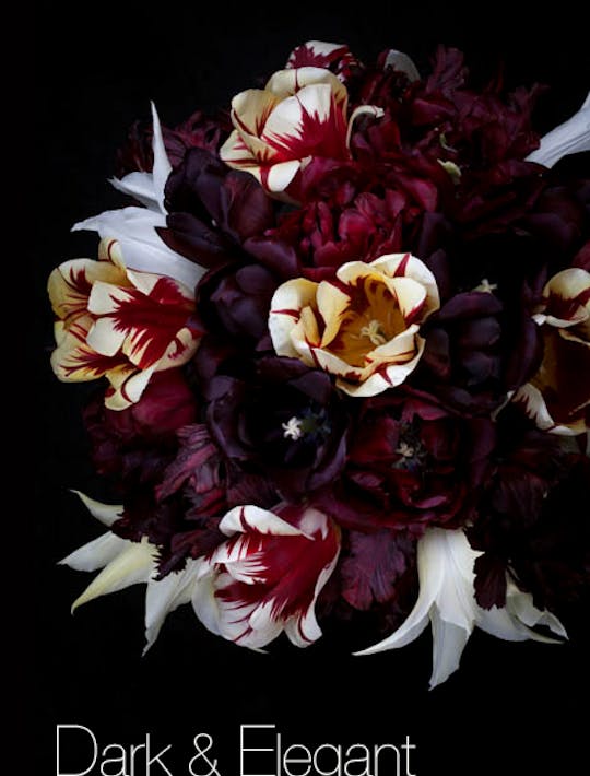 dark and elegant collection of tulips