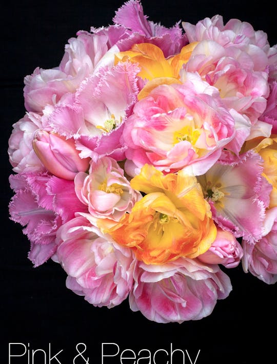 pink and peachy tulips