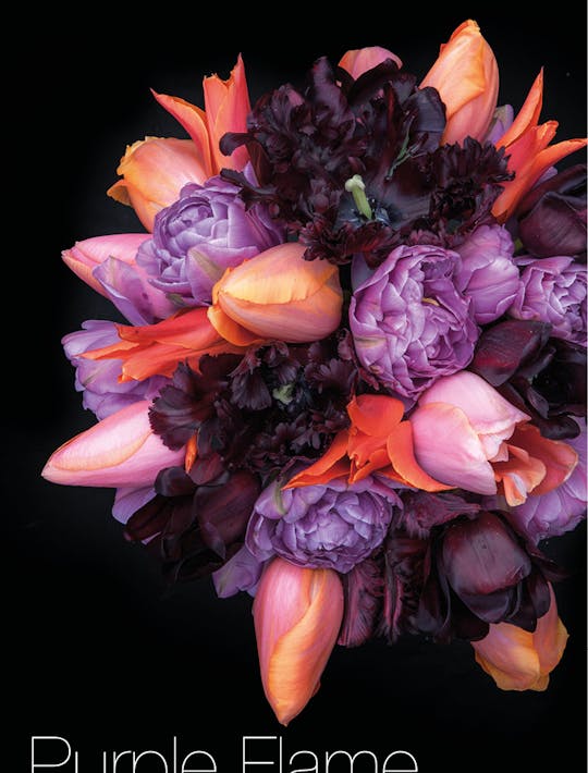 Flareandflame-Purple-Flame