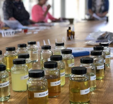 Perfume Course