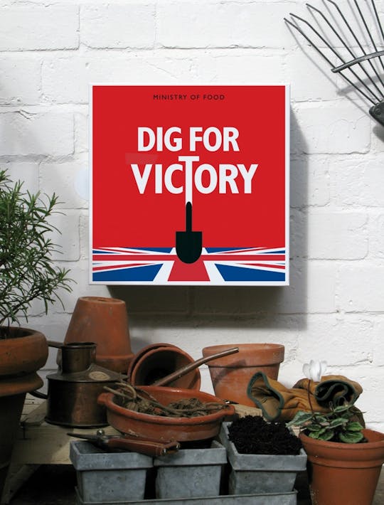dig for victory red metal seedbox