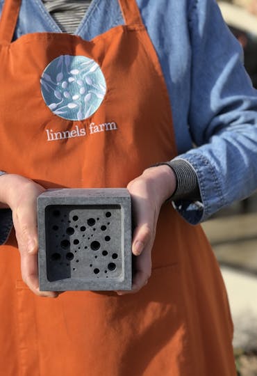 slate grey brick for solirary bees