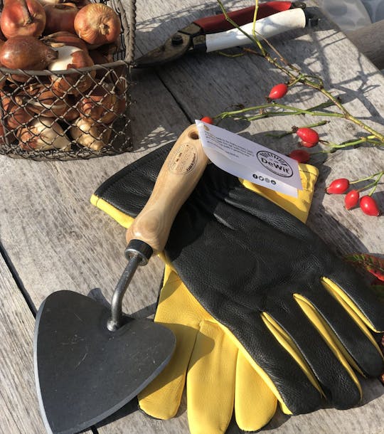 gardening gloves and trowel