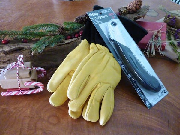 gloves and silky saw dry touch gloves