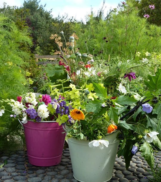 buckets of fresh cut flowers